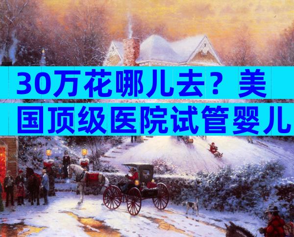 30万花哪儿去？美国顶级医院试管婴儿费用、成功率全解析，避坑必看