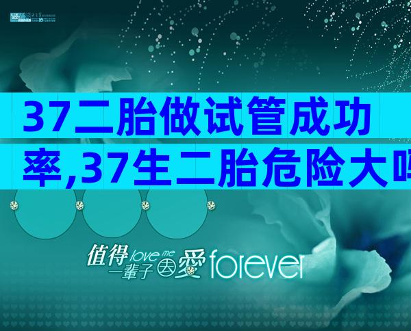 37二胎做试管成功率,37生二胎危险大吗