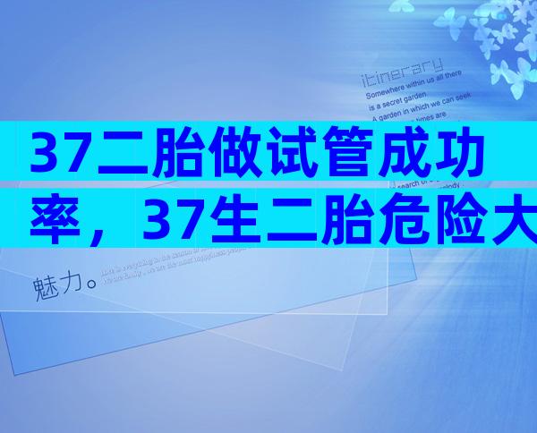 37二胎做试管成功率，37生二胎危险大吗