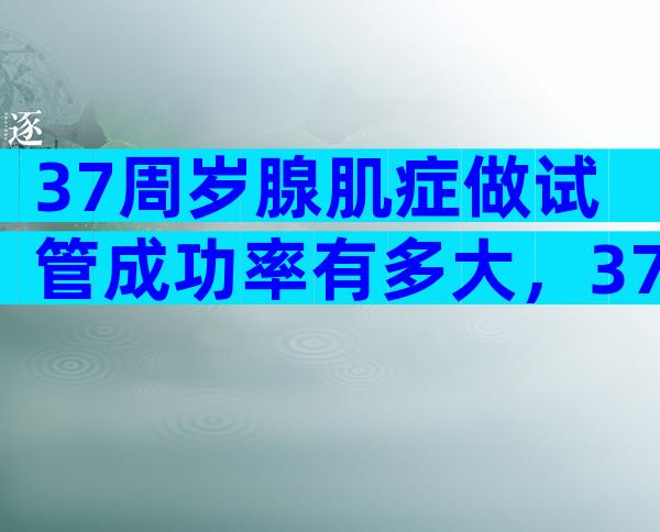 37周岁腺肌症做试管成功率有多大，37岁腺肌症能怀上孩子吗