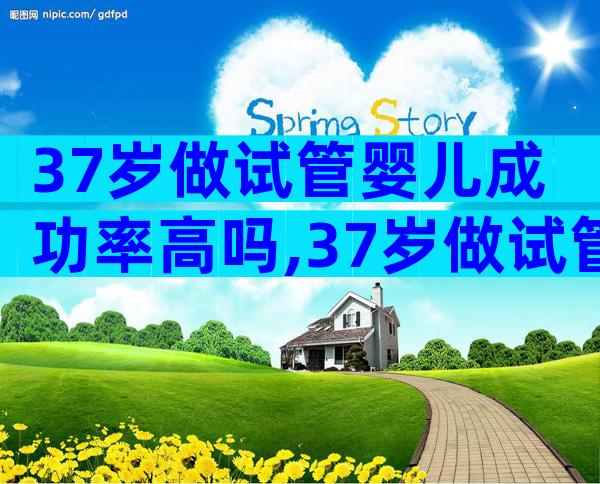 37岁做试管婴儿成功率高吗,37岁做试管婴儿有危险吗