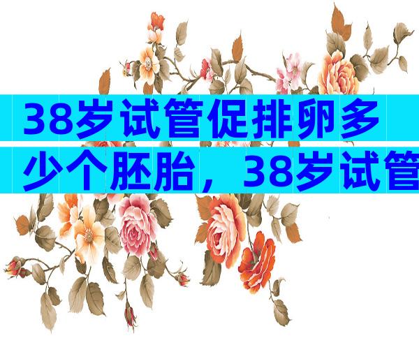 38岁试管促排卵多少个胚胎，38岁试管促排卵多少个