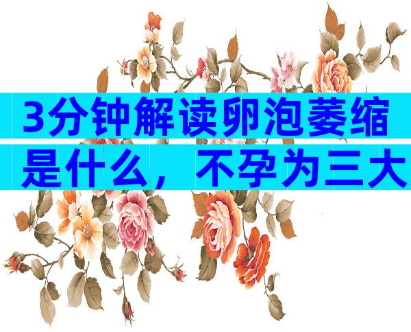 3分钟解读卵泡萎缩是什么，不孕为三大危害之一