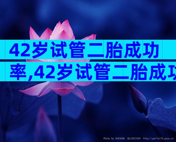 42岁试管二胎成功率,42岁试管二胎成功率高吗