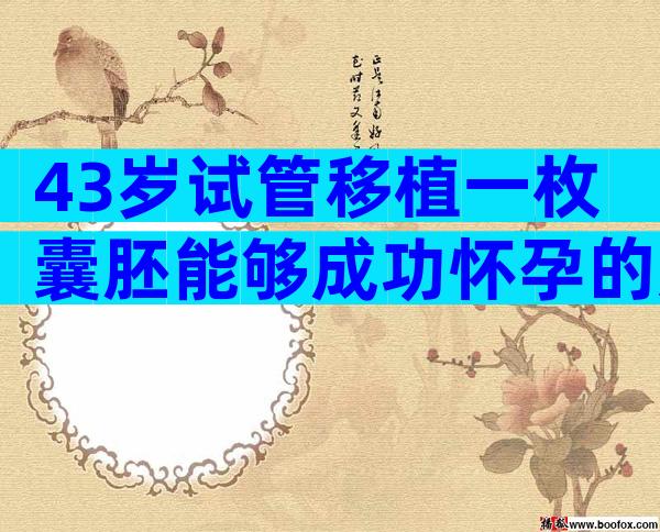 43岁试管移植一枚囊胚能够成功怀孕的几率高吗？