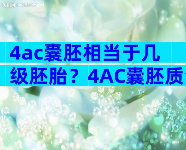 4ac囊胚相当于几级胚胎？4AC囊胚质量怎么样？