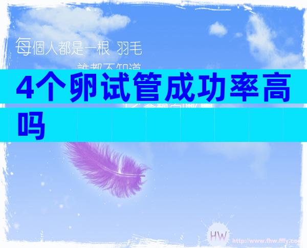 4个卵试管成功率高吗