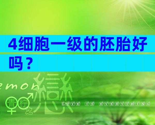 4细胞一级的胚胎好吗？