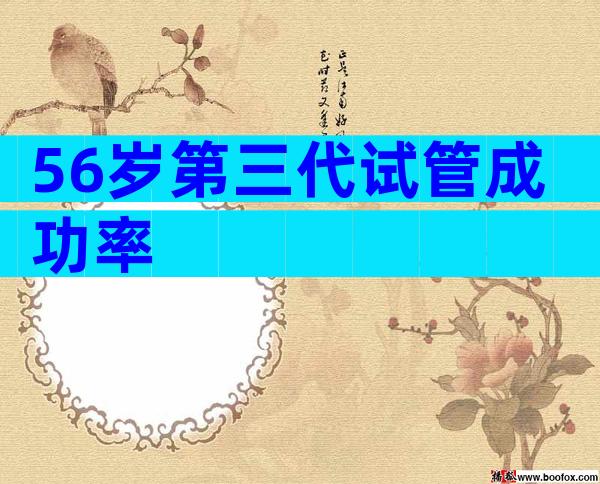 56岁第三代试管成功率