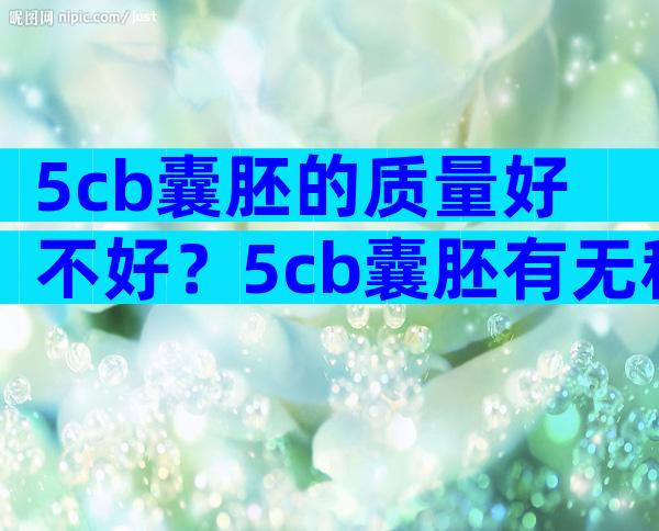 5cb囊胚的质量好不好？5cb囊胚有无移植的意义？