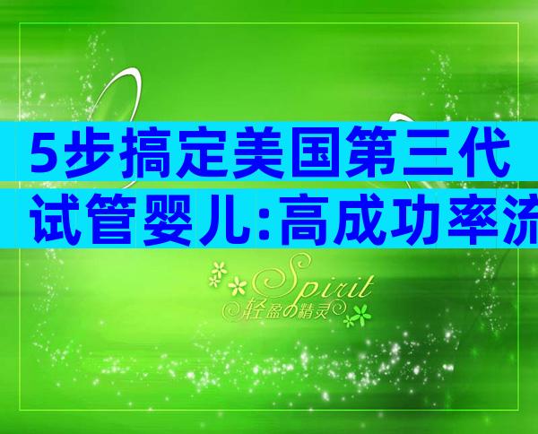 5步搞定美国第三代试管婴儿:高成功率流程+避坑全攻略
