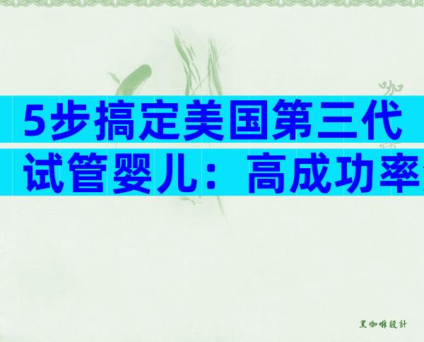5步搞定美国第三代试管婴儿：高成功率流程＋避坑全攻略