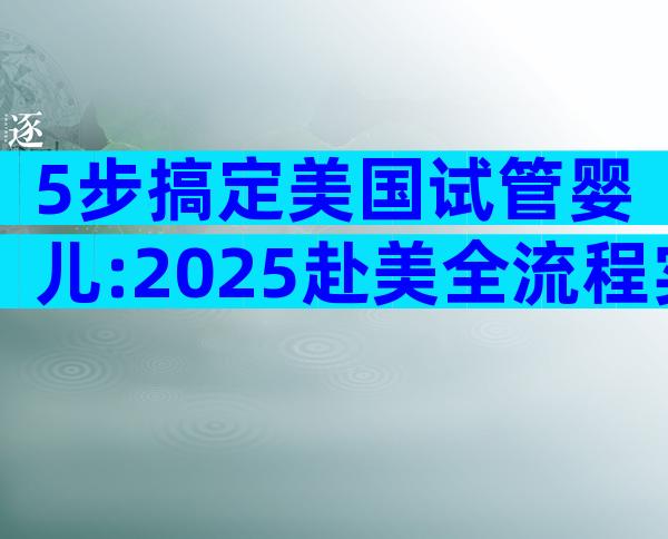 5步搞定美国试管婴儿:2025赴美全流程实战攻略