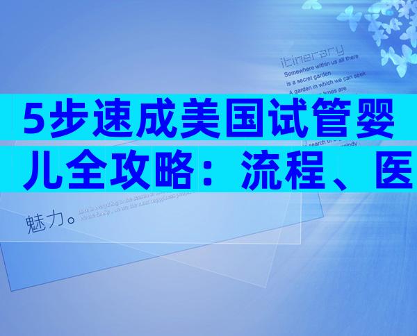 5步速成美国试管婴儿全攻略：流程、医院选择和签证要点一网打尽