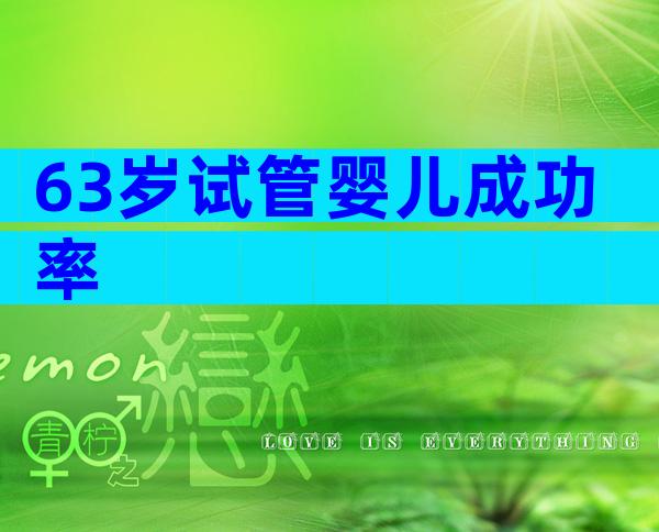 63岁试管婴儿成功率