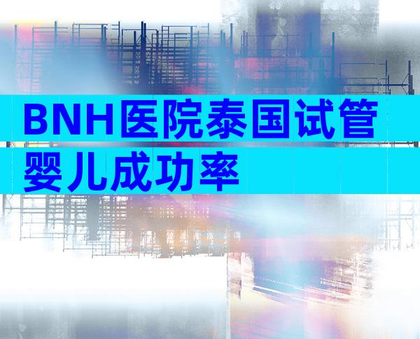 BNH医院泰国试管婴儿成功率