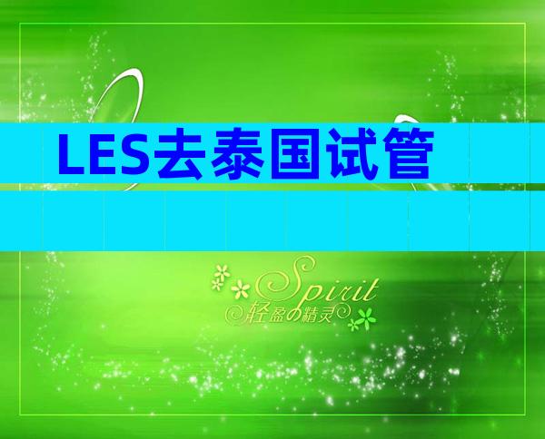 LES去泰国试管