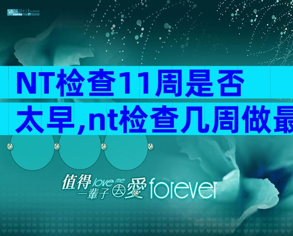 NT检查11周是否太早,nt检查几周做最好