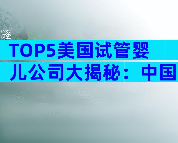 TOP5美国试管婴儿公司大揭秘：中国家庭如何挑选最优方案？
