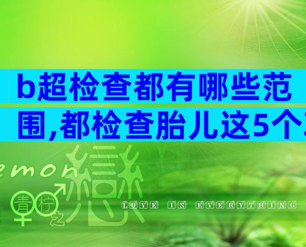 b超检查都有哪些范围,都检查胎儿这5个项目