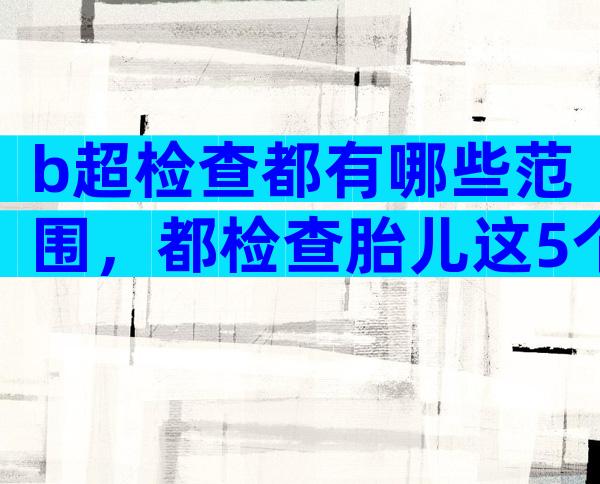 b超检查都有哪些范围，都检查胎儿这5个项目