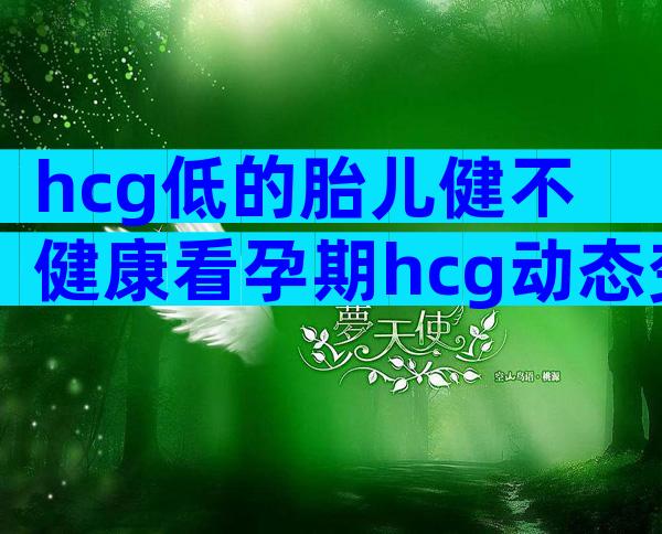 hcg低的胎儿健不健康看孕期hcg动态变化规律？