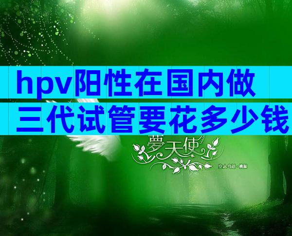 hpv阳性在国内做三代试管要花多少钱？成功率是多少？