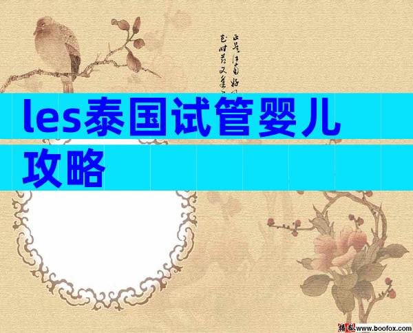 les泰国试管婴儿攻略