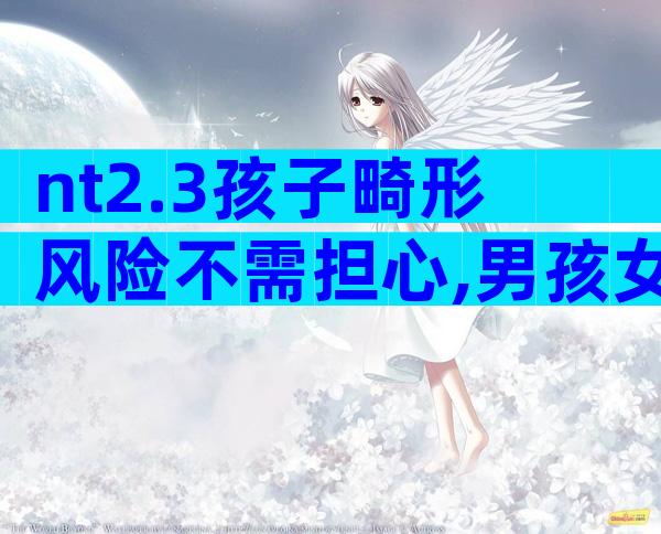 nt2.3孩子畸形风险不需担心,男孩女孩无需无创DNA