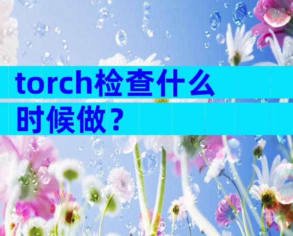 torch检查什么时候做？