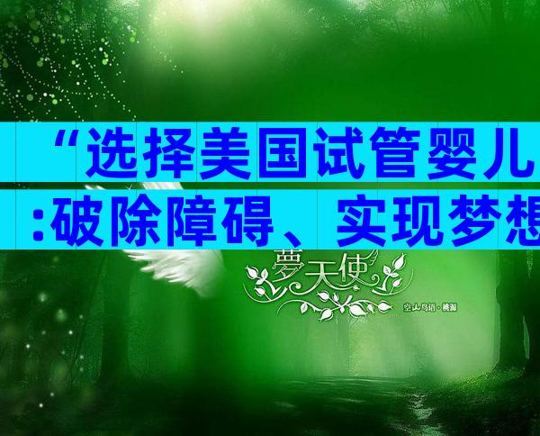 “选择美国试管婴儿:破除障碍、实现梦想”