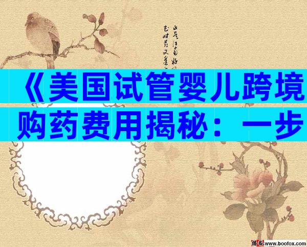《美国试管婴儿跨境购药费用揭秘：一步到位的成本分析》