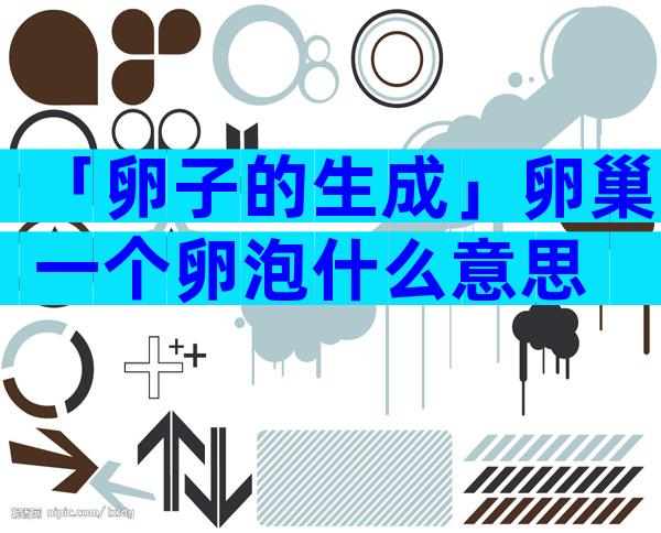 「卵子的生成」卵巢一个卵泡什么意思