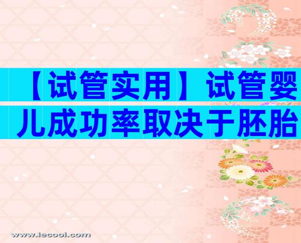 【试管实用】试管婴儿成功率取决于胚胎吗对吗
