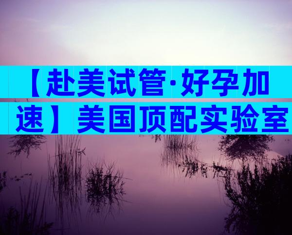 【赴美试管·好孕加速】美国顶配实验室+中文医护一对一,30天启程,科学护航每一步