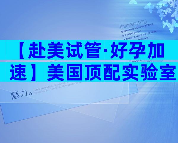 【赴美试管·好孕加速】美国顶配实验室+中文医护一对一，30天启程，科学护航每一步