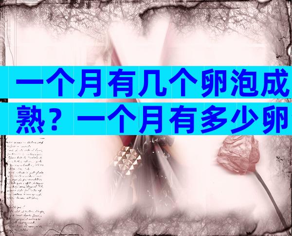 一个月有几个卵泡成熟？一个月有多少卵泡成熟？