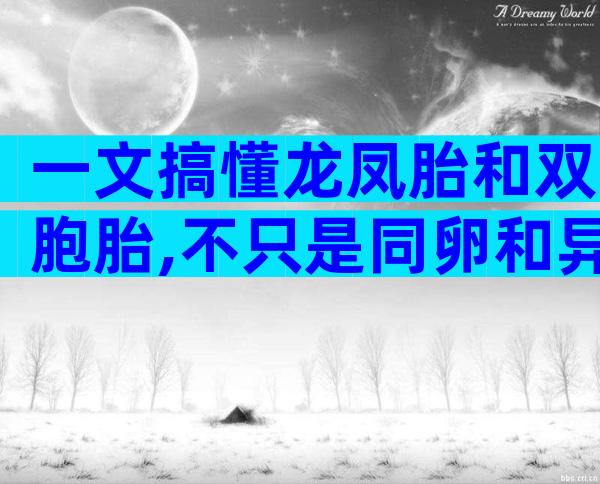 一文搞懂龙凤胎和双胞胎,不只是同卵和异卵的区别