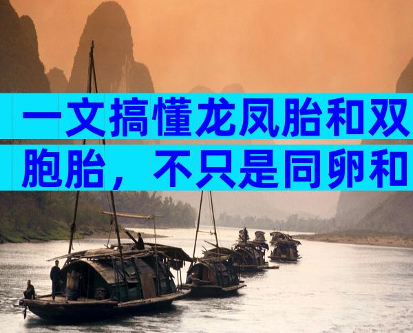 一文搞懂龙凤胎和双胞胎，不只是同卵和异卵的区别