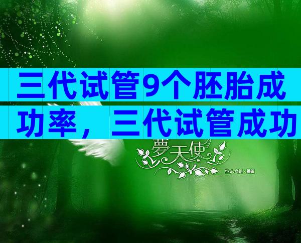 三代试管9个胚胎成功率，三代试管成功率的胚胎是多少级别？