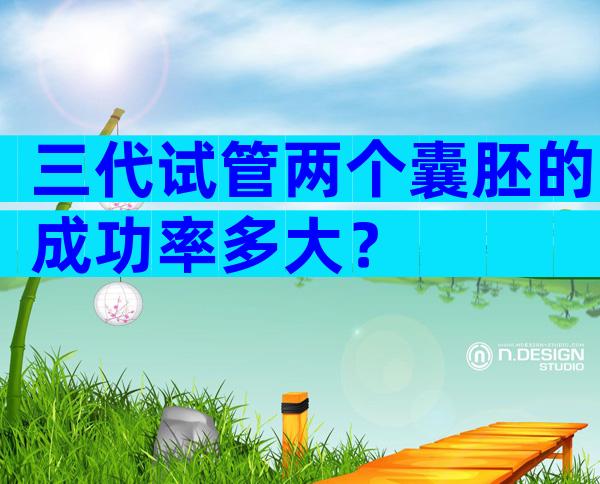 三代试管两个囊胚的成功率多大？