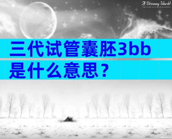 三代试管囊胚3bb是什么意思？