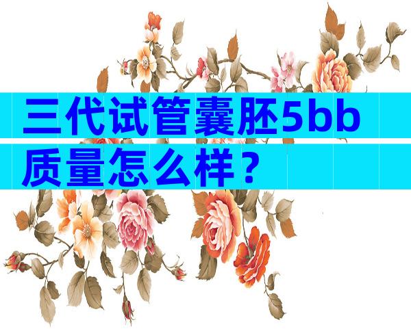 三代试管囊胚5bb质量怎么样？