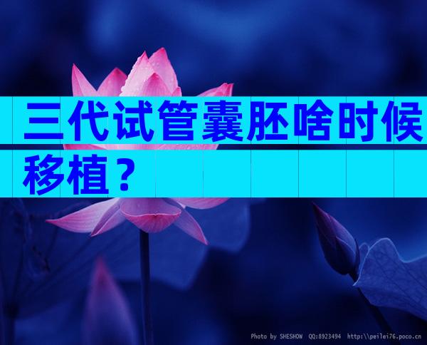 三代试管囊胚啥时候移植？