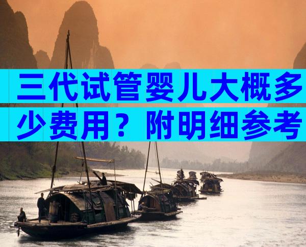三代试管婴儿大概多少费用？附明细参考