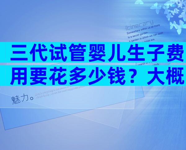 三代试管婴儿生子费用要花多少钱？大概要多少钱一次说清