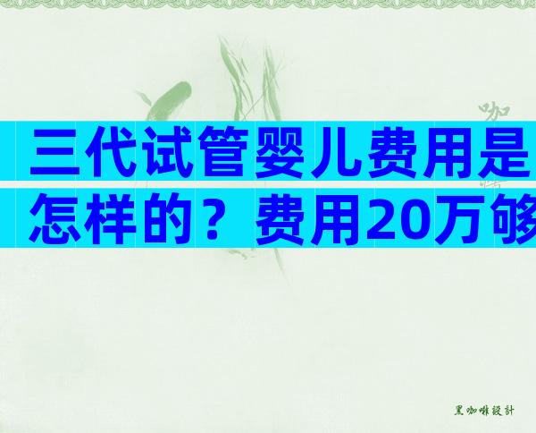 三代试管婴儿费用是怎样的？费用20万够不够？