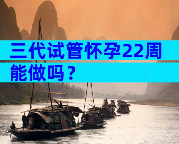 三代试管怀孕22周能做吗？