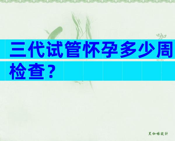 三代试管怀孕多少周检查？
