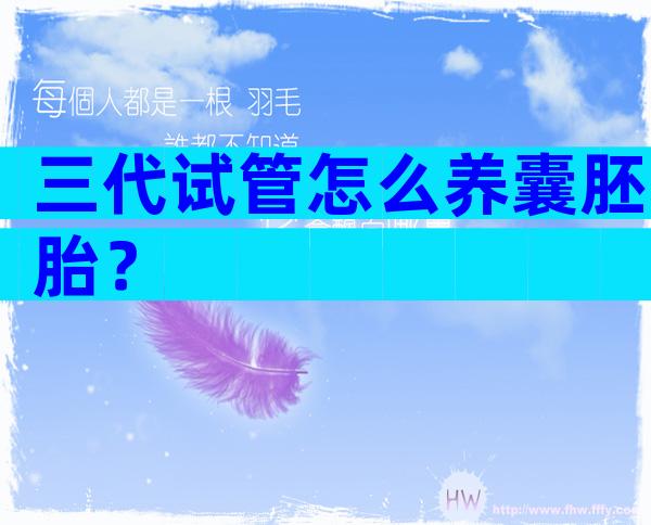 三代试管怎么养囊胚胎？